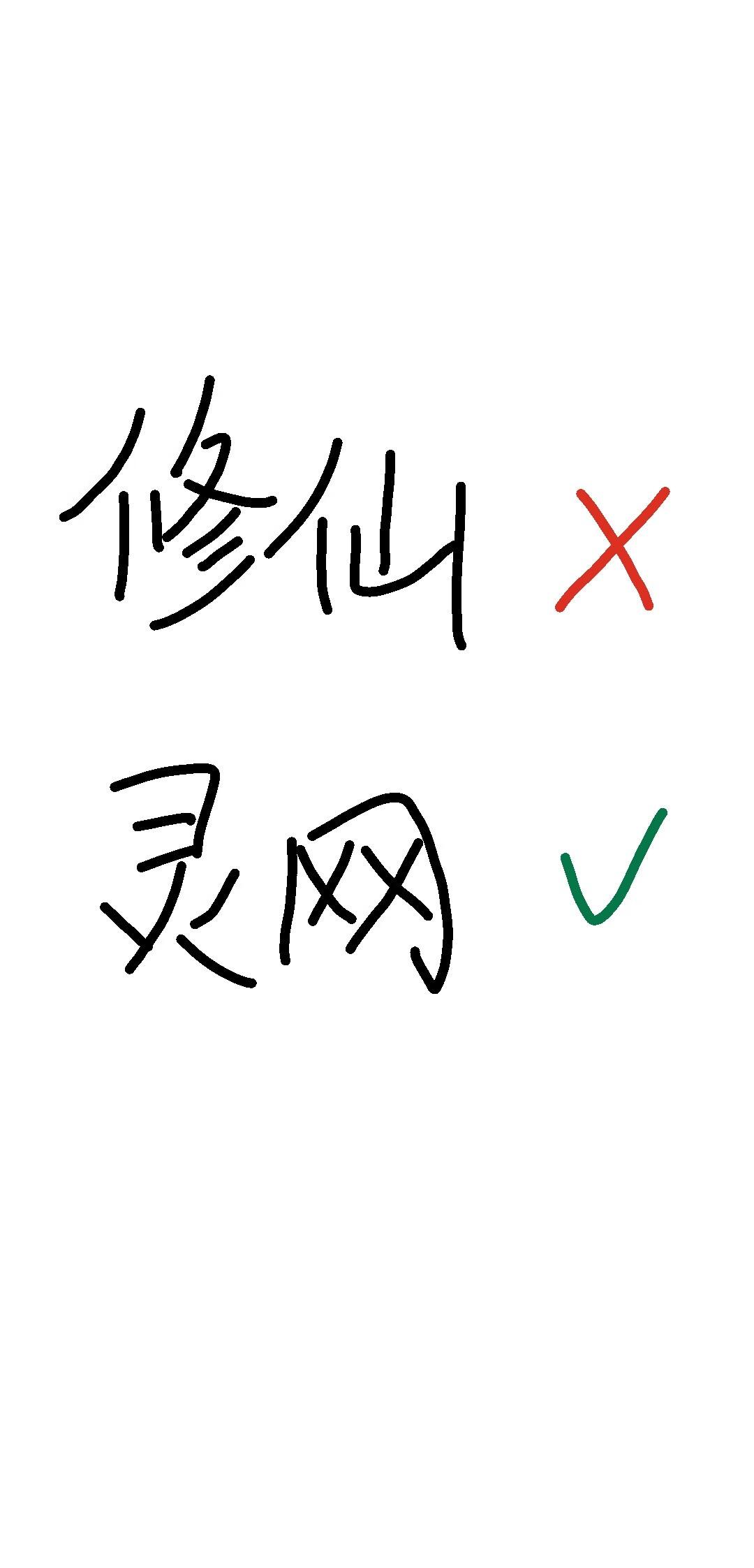 修什么仙，建灵网去