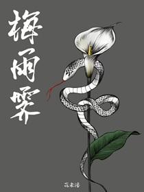 正经人谁离婚啊(穿书)gl