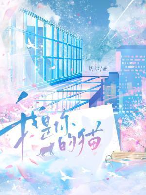 正经人谁离婚啊(穿书)全文免费阅读