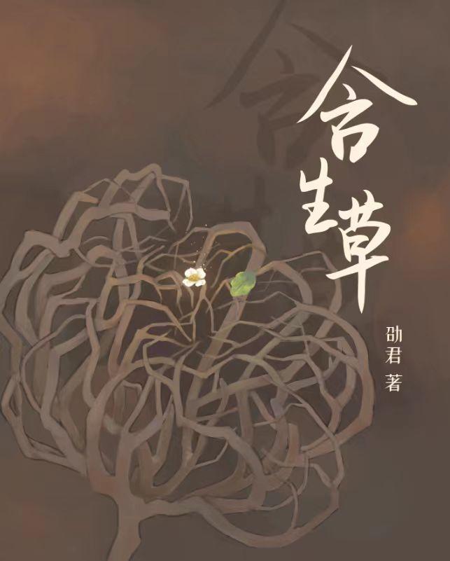 霸气外露拼音