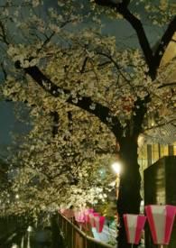 穿成豪门继子的继妻