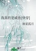 她有毒TXT非木非石笔趣阁